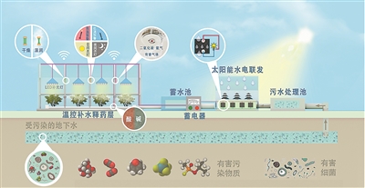会发电、可处理废水,还能精准释放农药 智慧大棚化身降碳多面手